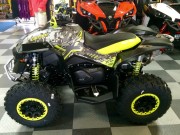 2015 BRP Can-Am Renegade 1000 XXC 7